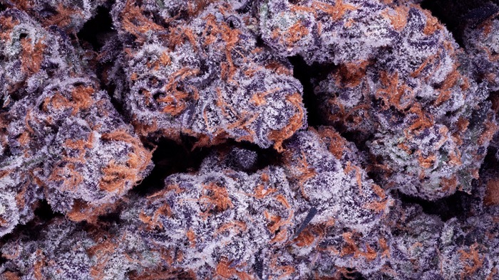 Pile of purple and amber whole buds